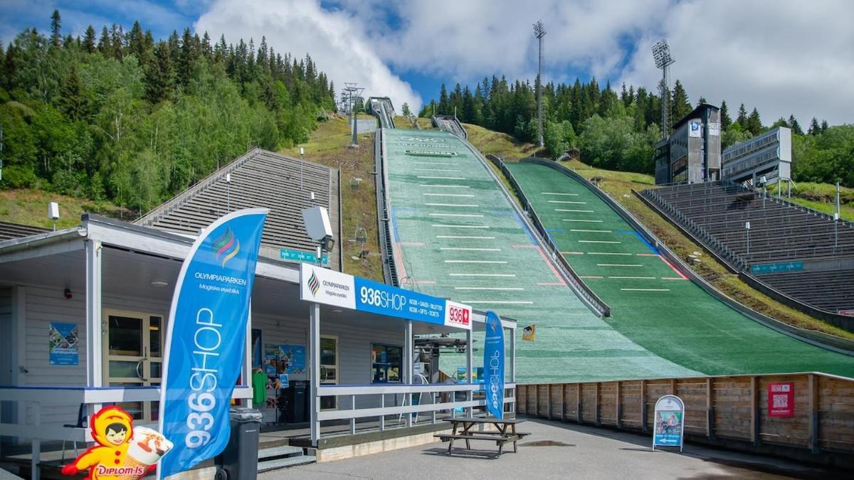 Leilighet I Lillehammer Med Gratis Parkering Apartment Lillehammer
