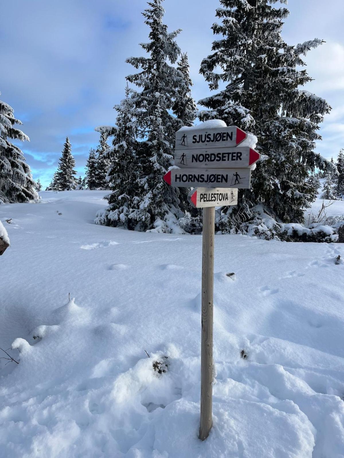 Apartment Leilighet I Lillehammer Med Gratis Parkering Lillehammer